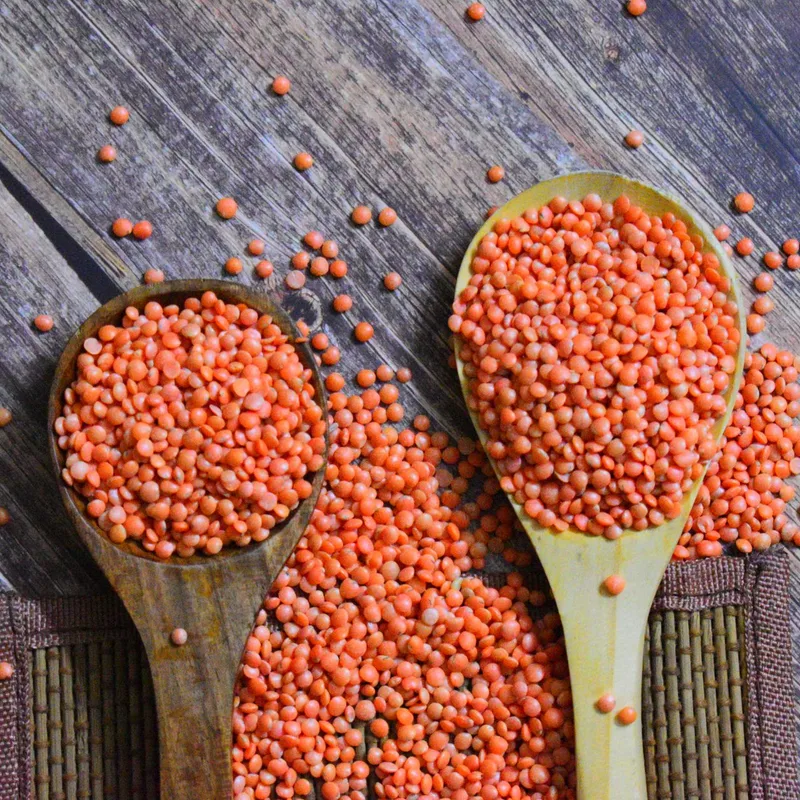 Defatted soya flakes & grits (Toasted) — Deesan Agro-Tech