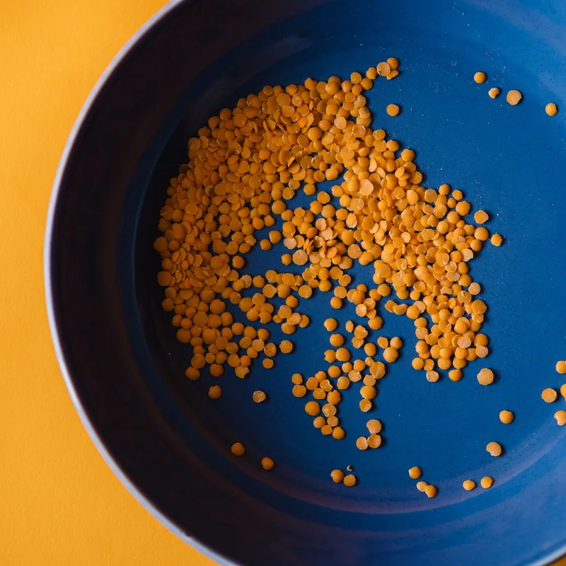 Defatted soya flakes & grits (Un-toasted) — Deesan Agro-Tech