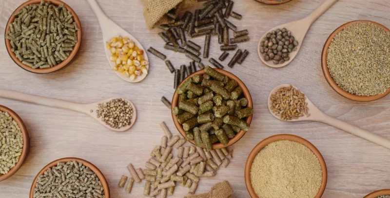 Animal Health Branded Ingredients — Arjuna Natural