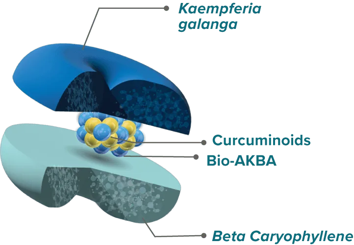 Acujoint — Aurea Biolabs