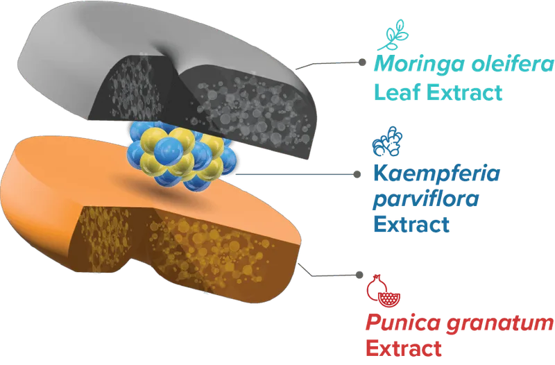 Fitnox — Aurea Biolabs
