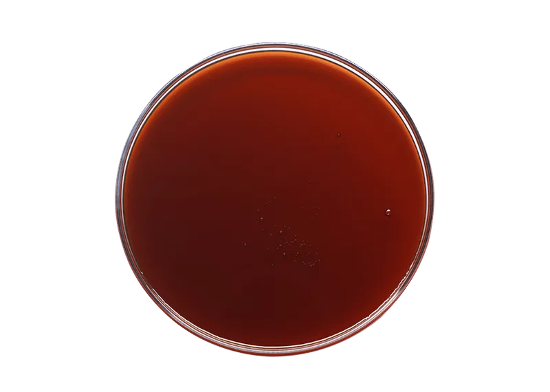 Soy lecithin liquid non-GMO. — Deesan Agro-Tech