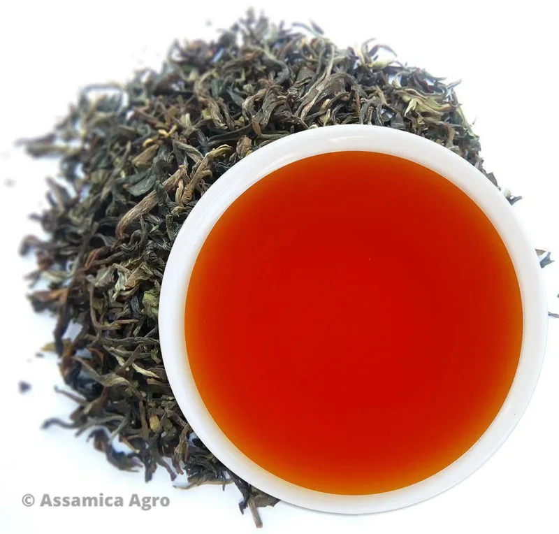 Delicate Dreams of Darjeeling — Assamica Agro