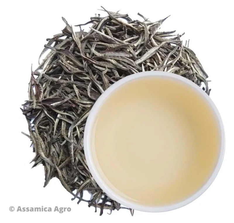 Exotic White Tea — Assamica Agro
