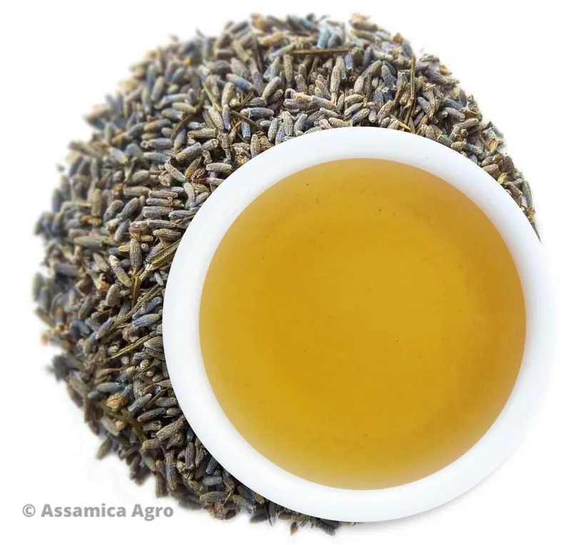 Lavender Luxury — Assamica Agro