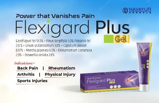 Flexigard Plus Gel — Navayur Herbals